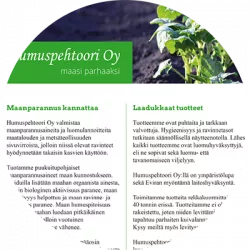 Flyer