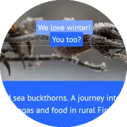 Beyondbuckthorns - a journey into permaculture and biogas in Finland